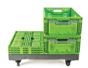 CARRO DE PLÁSTICO CON RUEDAS 800 x 600 x 198 mm. (Largo x... 2