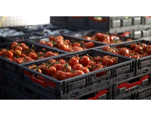 CAJA PLEGABLE REJILLADA, 600 x 400 x 115 mm.