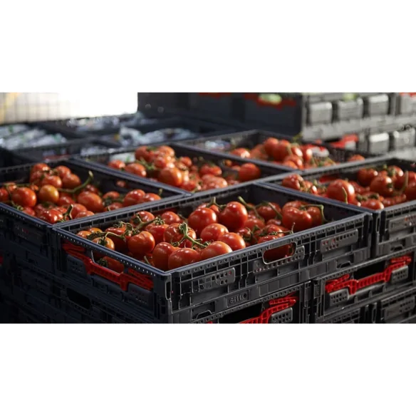 CAJA PLEGABLE REJILLADA, 600 x 400 x 115 mm.