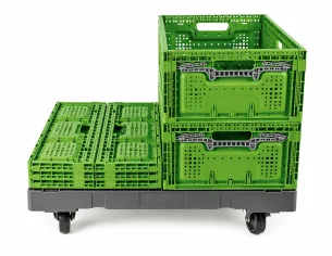 CARRO DE PLÁSTICO CON RUEDAS 800 x 600 x 198 mm. (Largo x... 2