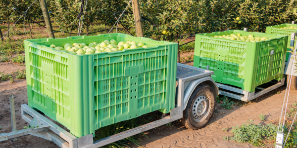 Sistemas de almacenaje para agricultura y sector hortofrutícola: cómo elegir la mejor solución