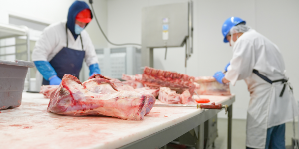 Cajas para carne: cómo elegir la mejor solución para la industria cárnica