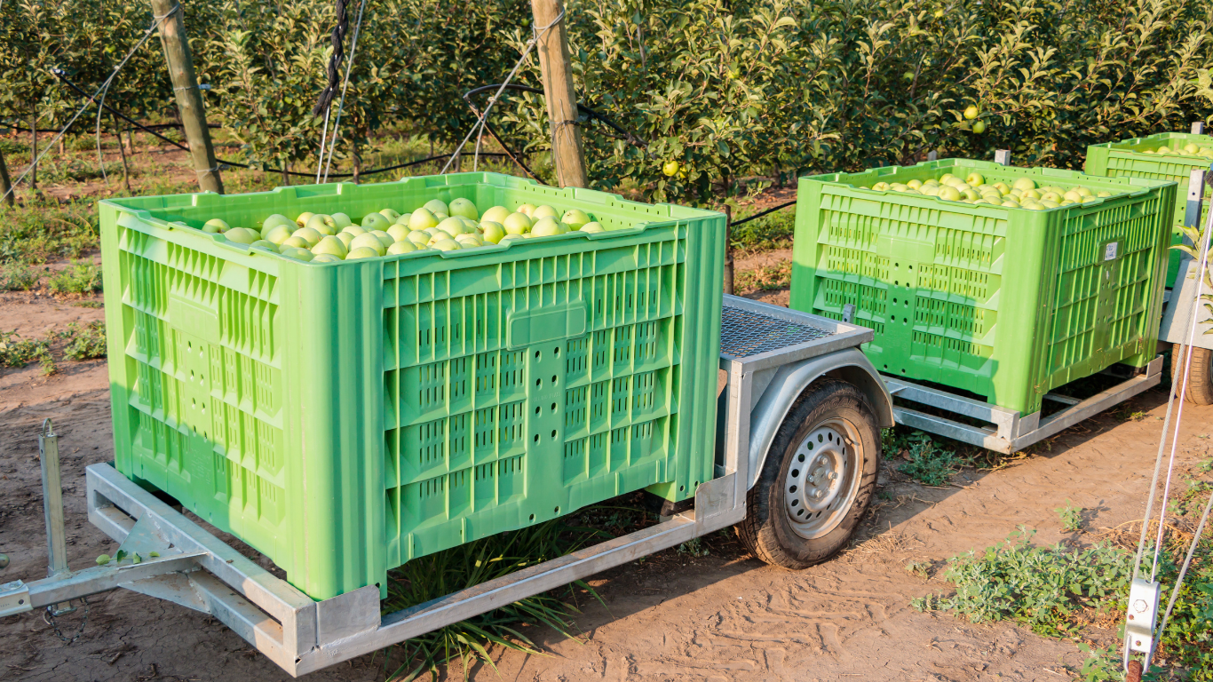 Sistemas de almacenaje para agricultura y sector hortofrutícola: cómo elegir la mejor solución